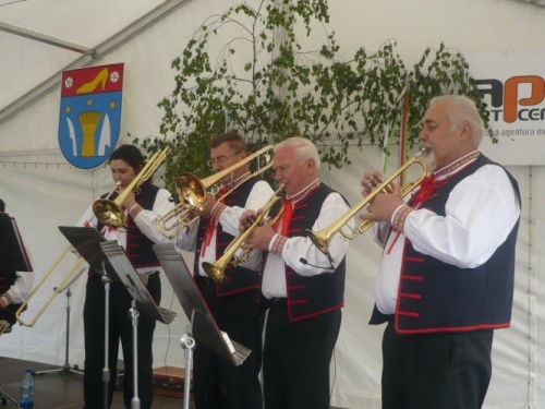 Koncert-Partizanske-2011-6